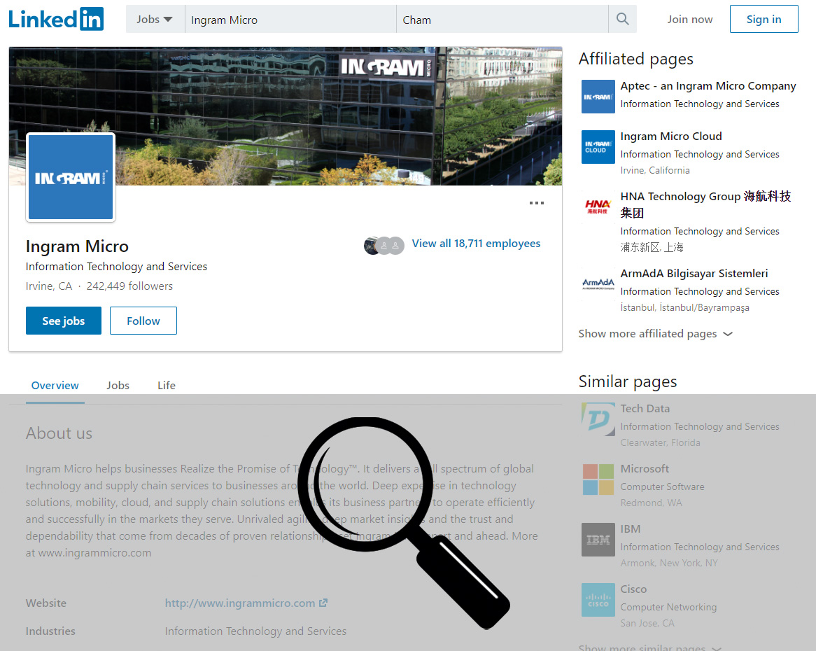 linkedin-Lupe-1.jpg linkedin-Lupe-1.jpg