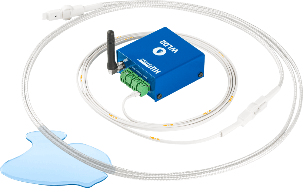 HWg-STE, IP Thermometer, bis zwei Sensoren, inkl. Temperatursensor